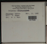 Image Associated With the Occurence